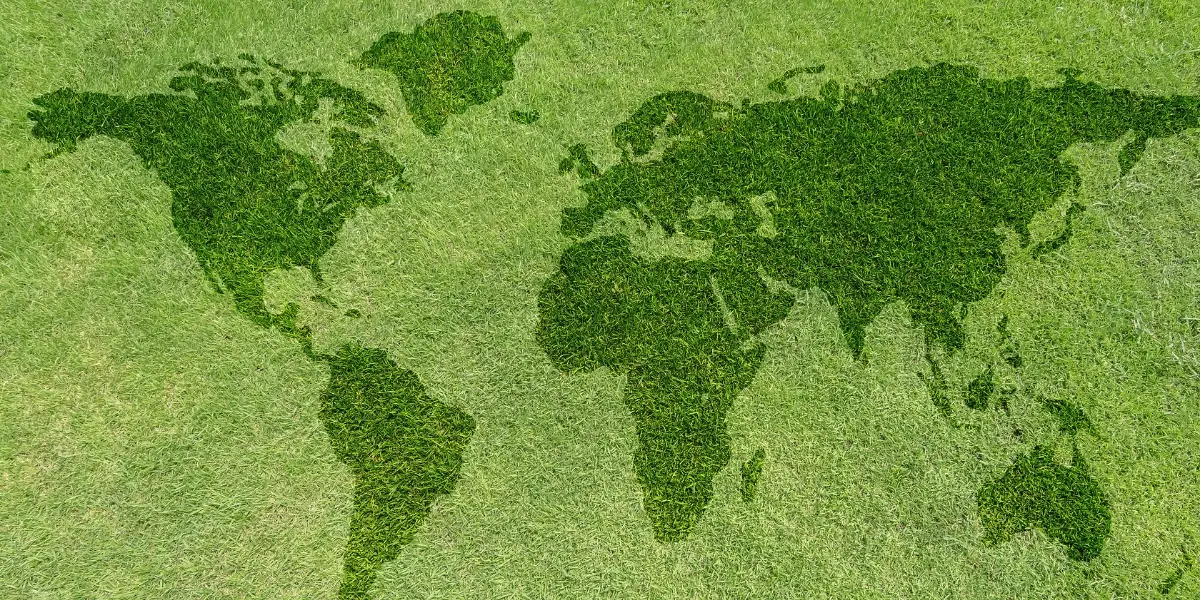 eco-friendly-packaging